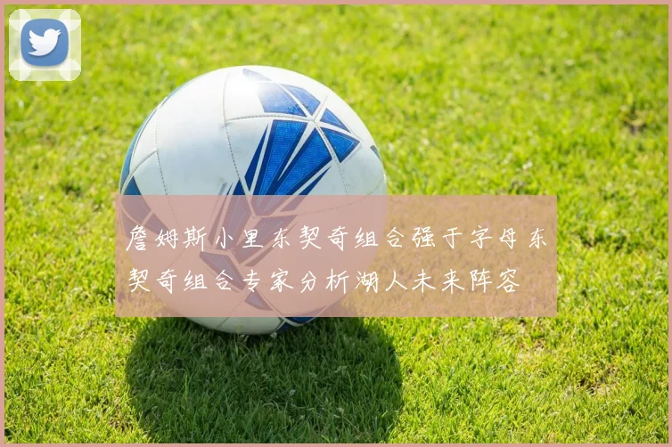 詹姆斯小里东契奇组合强于字母东契奇组合专家分析湖人未来阵容